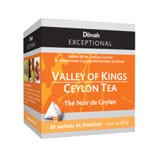 Valley-of-Kings